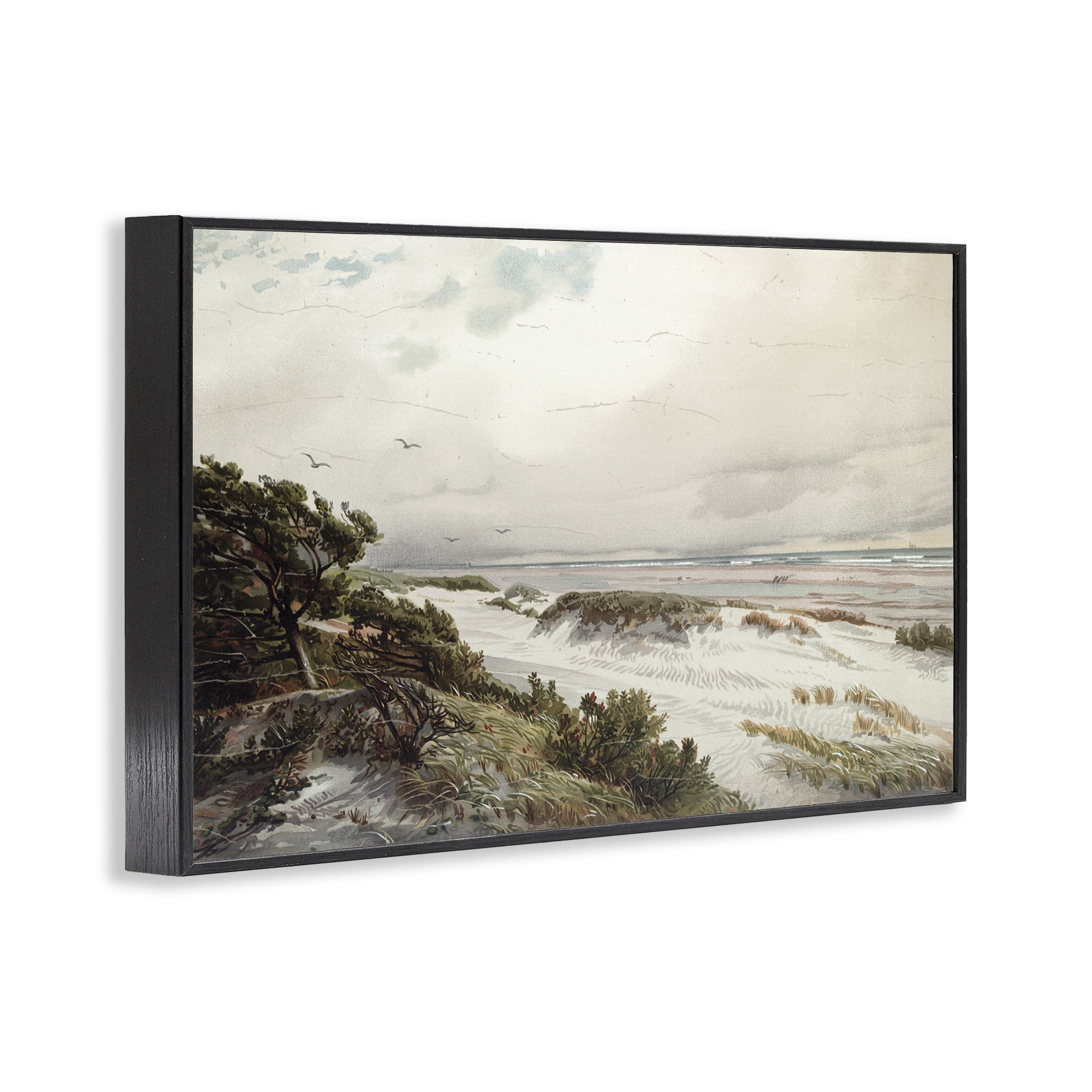 Stupell Industries Bountiful Success Beach Black Framed Giclee Art, design by Lula Bijoux & co.
