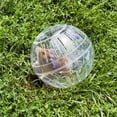 thumbnail image 2 of Clear Ball Hamster Ball Small Pet Running Exercise Ball Guinea Pig Playing Ball, 2 of 8