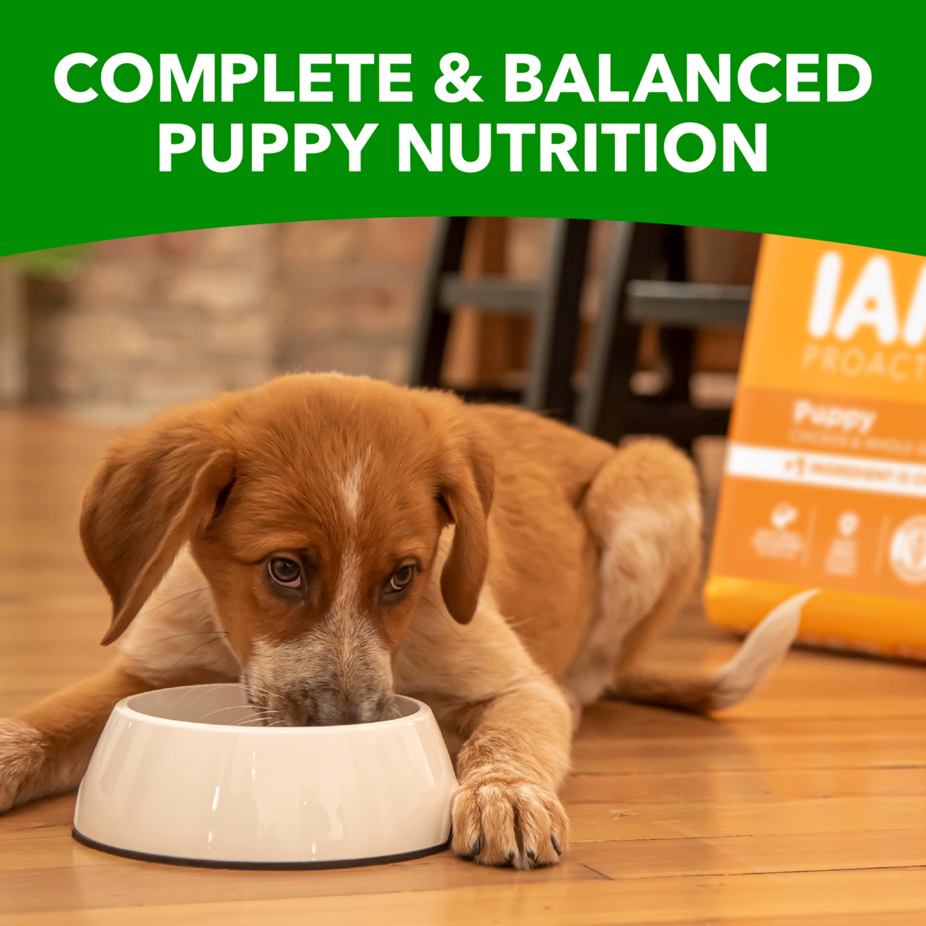 Iams for vitality shop puppy food