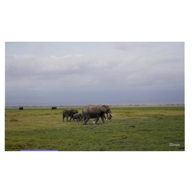 Sony E 70-350mm F4.5-6.3 G OSS Super-Telephoto Lens SEL70350G