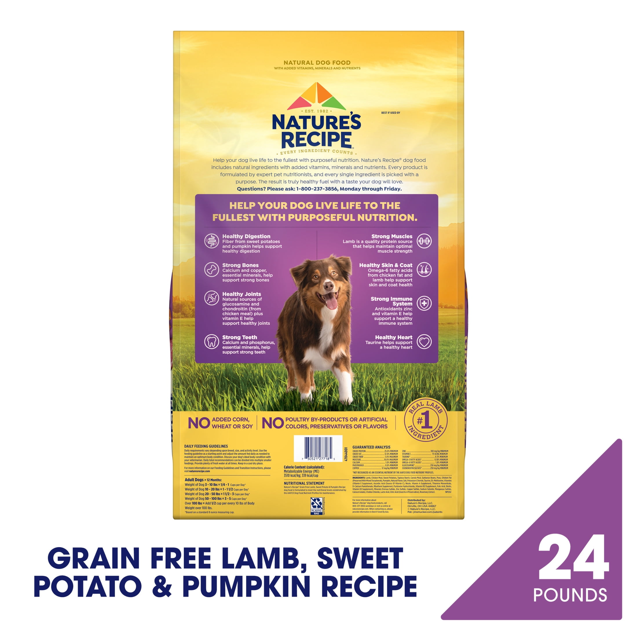 Nature's Recipe Grain Free Lamb, Sweet Potato & Pumpkin Dry Dog Food, 24 lb. Bag