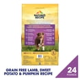 thumbnail image 3 of Nature's Recipe Grain Free Lamb, Sweet Potato & Pumpkin Dry Dog Food, 24 lb. Bag, 3 of 11