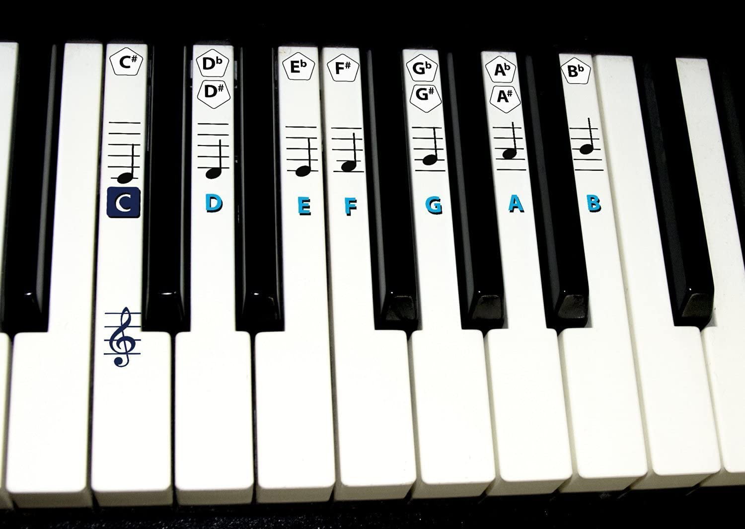 Blue FineFun Piano key and Keyboard Music Note Stickers Learning Piano Label Decal