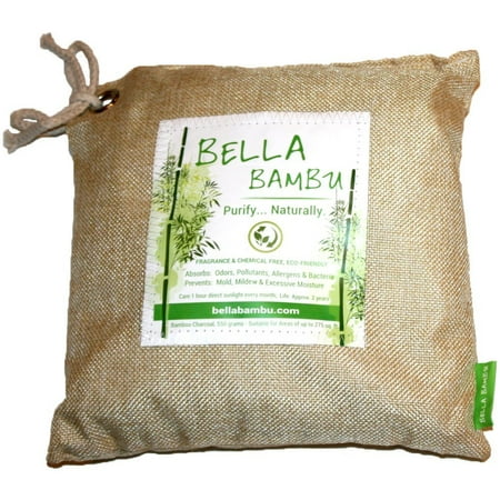 Activated charcoal air purifier reviews Activated charcoal air purifier reviews