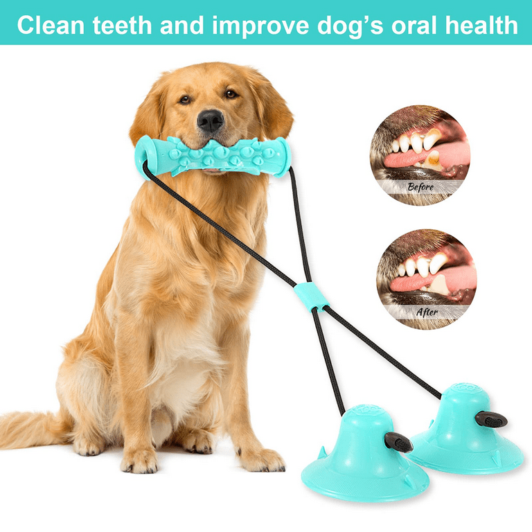 Double Suction Cup Dog Toy Self Play Tug Of War Dog Toys And Chewing Rubber  Ball Dog Rope Toys Chewing Teeth Cleaning Interactive Pet And Food  Dispensing Ball Toys