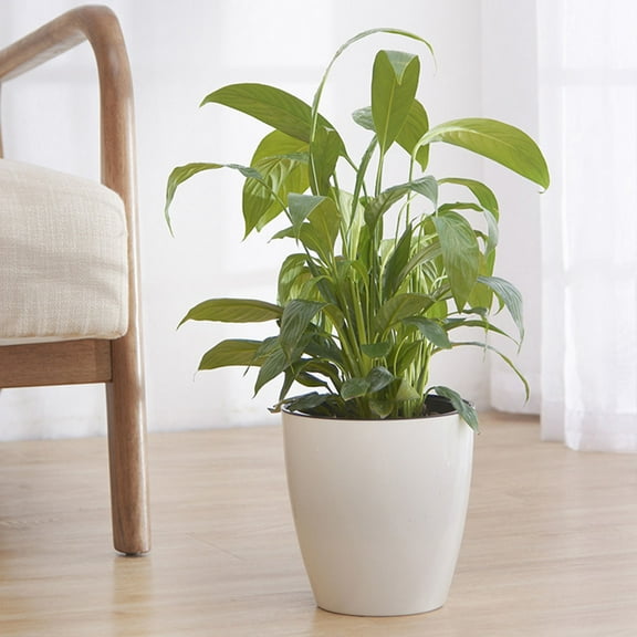 Soimiss Plastic Self Watering Planter Automatic Watering Round Flower Pot for Home 1Pack