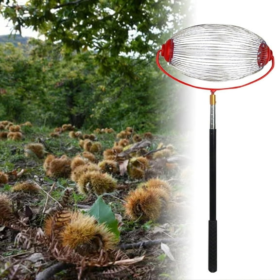 Garden Nut Gatherer, Acorn Collector, Nut Picker Tool, Acorn Picker Upper Roller, Telescopic Fruit Pickers, Nuts Collector Harvest Pickers, Chestnut Roller Fruit Collector Silvery/L