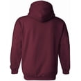 thumbnail image 4 of Star Labs Hoodie - Star Laboratories Vintage Hooded Sweatshirt Maroon 2XL, 4 of 5