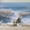 Color 1, variant on Wallpaper Desert Landscape Sunset Sky Warm Tones Peel and Stick Wall Murals 100"H x 144"W Removable PVC Wall Paper Self-Adhesive Wall Paintings Art Decor for Bedroom Living Room