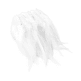 thumbnail image 5 of 100 Plumas Ave Ganso Pavo Decorativa Mide Entre 10cm A 15cm BLANCO, 5 of 5
