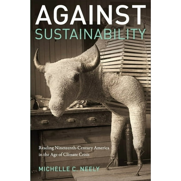 Against Sustainability : Reading Nineteenth-Century America in the Age of Climate Crisis
