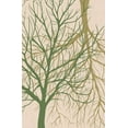 thumbnail image 2 of Aesthete 17x24 Black Ornate Wood Framed with Double Matting Museum Art Print Titled - Twin Tree, 2 of 4