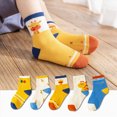 thumbnail image 2 of NOLDARES Toddler Mid Calf Cotton Socks, Reinforced Heel Toe Durable for Boys Girls Daily Rough Play, School & Sports 5-Pairs, 2 of 4