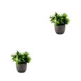 thumbnail image 2 of kurtrusly Realistic Artificial Succulent Low Maintenance Elegant Easy To Clean Artificial Money Tree In Pot new whitebabysbreath 2Set, 2 of 6