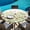 Green, variant on Round Table Cover 45-54 Inch Spring Floral Waterproof Reusable Table Cloth Round Fitted Vinyl Tablecloth with Elastic Edged for Parties Outdoors, Vintage Country Flowers Botanical Watercolor
