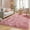 Blush, variant on Machine Washable Rainbow Runner Rugs for Girls Bedroom Hallway Plush Fluffy Purple Rug 2x6 Ft, Soft Carpet for Kids Room, Non-Slip Indoor Floor Rugs for Nursery Kids Girls Room Home Decor