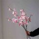 thumbnail image 3 of Jarrón de vidrio transparente con flores artificiales de durazno for decoración de mesa de salón interior., 3 of 5