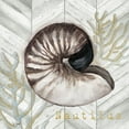 thumbnail image 3 of Tre Sorelle Studios 12x12 Black Modern Framed Museum Art Print Titled - Gray Gold Chevron Nautilus Shell, 3 of 5
