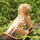 thumbnail image 1 of Chubasquero para perros, chubasquero para mascotas con borde naranja transparente de PU, chubasquero impermeable con capucha para mascotas, diseño a prueba de futuro, 1 of 8