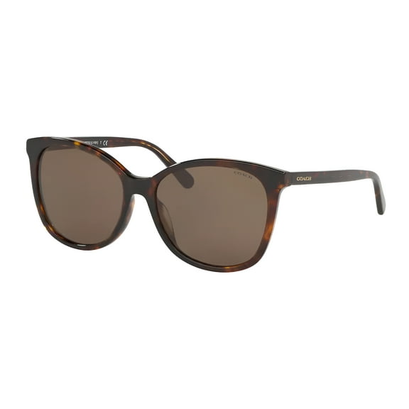 0HC8271U-Coach Sun Frame
