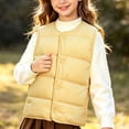 thumbnail image 4 of StSilkitty Puffer Vest for Boys Girls Sleeveless V Neck Button down Jacket Coat Fall Winter Warm Outerwear with Pockets, 4 of 8