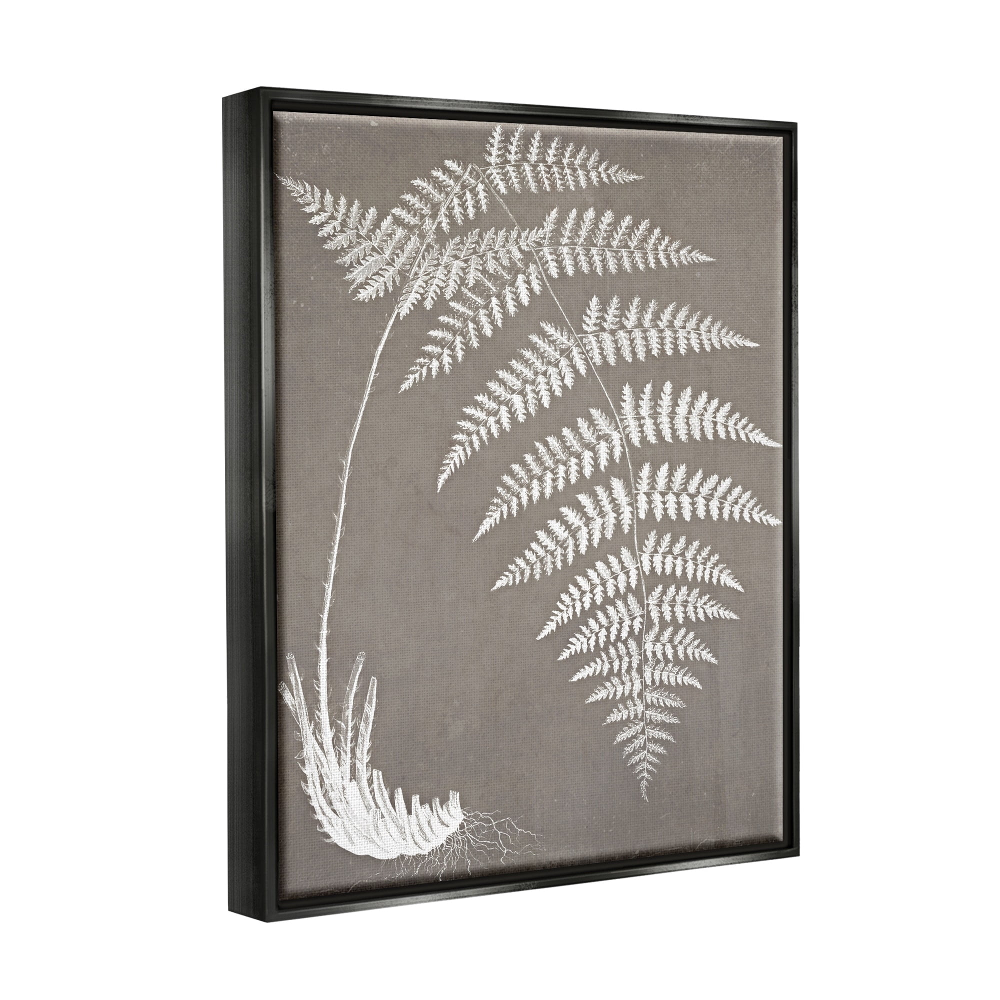 Stupell Industries Fern Leaves Roots Growing Botanicals Neutral Tones Graphic Art Jet Black Floating Framed Canvas Print Wall Art, Design by Graffitee Studios