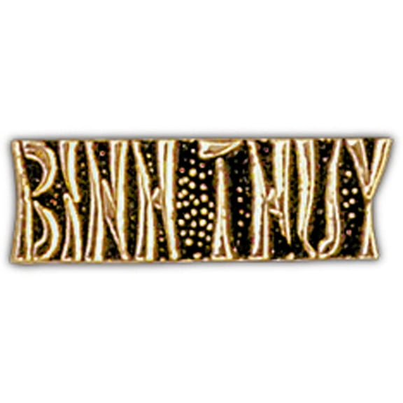 Eagle Emblems P15224 Pin - Vietnam, Script Benh Thuy - 1 in.