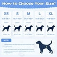 thumbnail image 2 of Tingzi Dog Diapers Female, 10 Count Disposable Stretchy Diapers for Female Dog, Pulled Up Diaper for Dogs, Super Absorbent Leak-Proof Puppy Diapers for Doggy in Heat Period, 2 of 7