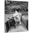 thumbnail image 1 of Global Gallery's 'Always Friends' By Jim Dratfield Stretched Canvas Wall Art, 1 of 4