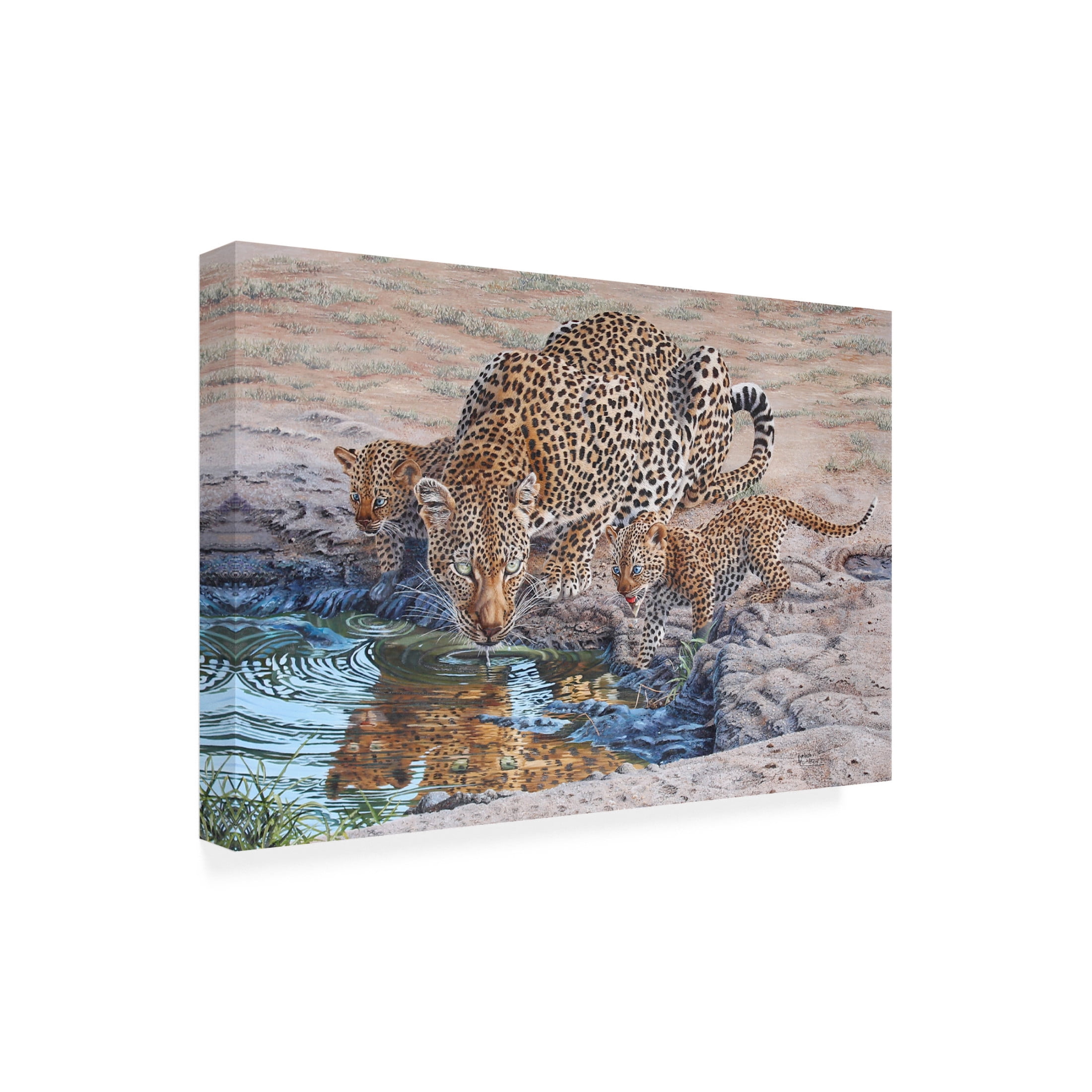 Canvas Wall Art - Delene Lambert 'Queen of Cubs' Wall Art for Living Room, Bedroom, or Office Décor by Trademark Fine Art - 19 x 12 Inches