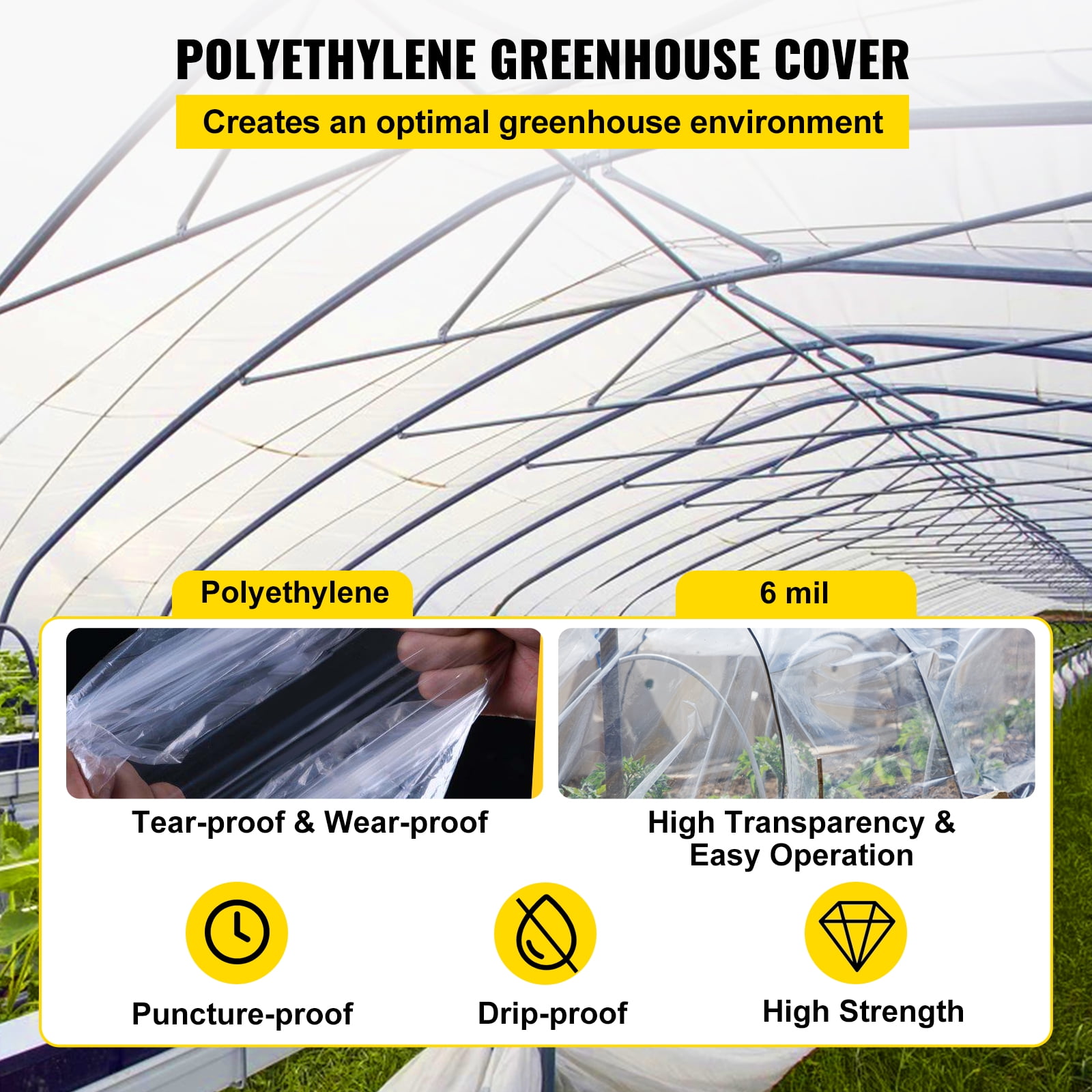 UV Resistant Covering Plastic GRELWT 12 x 100 4 Year Clear Greenhouse Film 6 mil Thickness 