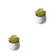 thumbnail image 1 of Yuarrent Simulación suculenta artificial Bonsai Flor falsa Paisaje en maceta Type2 NO2, 1 of 6