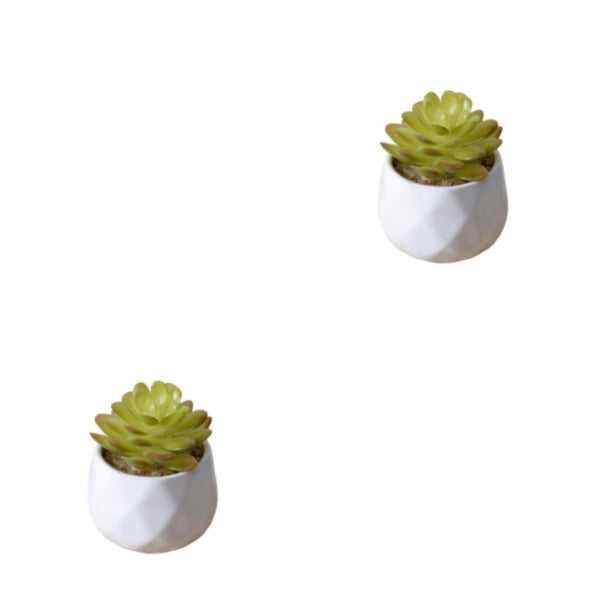 Yuarrent Simulación suculenta artificial Bonsai Flor falsa Paisaje en maceta Type2 NO2