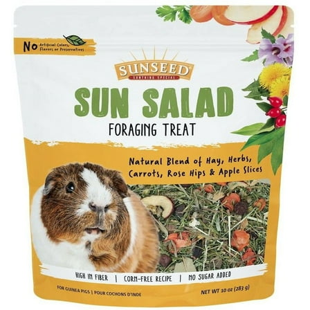 Sunseed Sun Salad Guinea Pig Foraging Treat [Small Pet, Small Pet Treats] 10 oz
