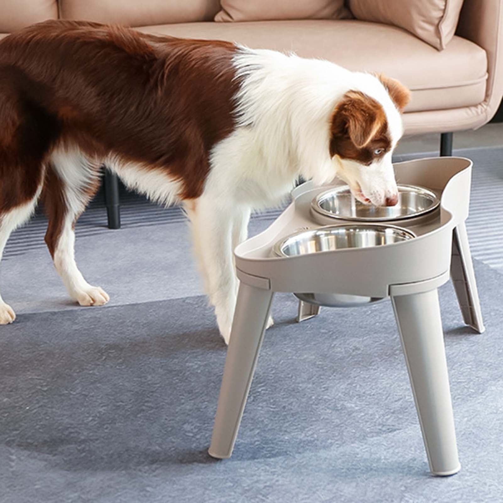 Elevated Dog Bowls for Large Dogs, Slow Feeder Dog Food and Water Bowls for Dogs No Spilling, Plastic Raised Dog Bowls with Stand for Medium Dog, Cats and Pets （L）