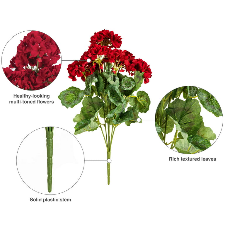 Red Silk Geranium Plants