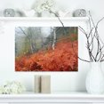 thumbnail image 1 of Red Fern in Foggy Fall Fay - Landscape Photo Canvas Art Print, 1 of 3