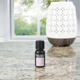 thumbnail image 4 of Better Homes & Gardens 100% Pure Essential Oil: Lavender & Chamomile, 15mL, 4 of 10