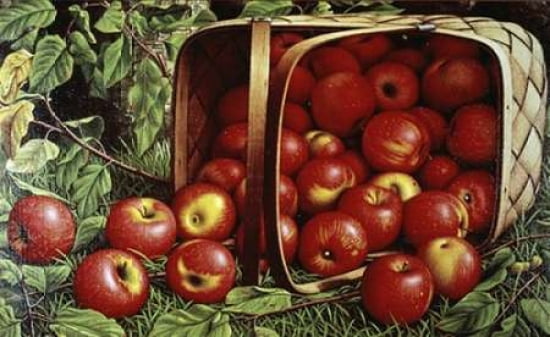 Basket Of Apples Ca