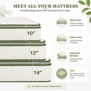 Beddle Hybrid Mattress, 10 inch Twin Size Medium Firm Pocket Spring Mattress in a Box, Motion Isolation, Edge Support, Fiberglass-Free, CertiPUR-US Certified