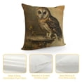 thumbnail image 4 of Orinice Owl Graphic Decorative Cushion Throw Pillow Cover for Home Living Room Sofa, Cotton Linen Pillowcase, Printed on Both Sides, 1PC 24x24in, 4 of 5