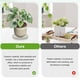 thumbnail image 4 of Uxcell 2-Pack Bandejas de Cerámica para Plantas, Bandejas de Goteo para Macetas de 5.3 Pulgadas ID, [5.9 Pulgadas OD, Gris], 4 of 6