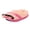 Hot Pink, variant on Women Plush Slippers Funny Novelty Flip Flops Shoes Cozy Furry Warm Memory Foam Slip on Slides Gifts for Halloween Party Black Size One Size