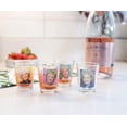 thumbnail image 5 of Silver Buffalo SVB-GOL50164-C The Golden Girls "Thirsty Salty Extra Savage" 1.5-Ounce Mini Glasses | Set Of 4, 5 of 7