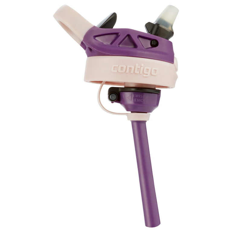 Contigo Kids Spill-Proof Plastic Tumbler with Purple Straw Eggplant &  Mermaid, 14 fl oz. 