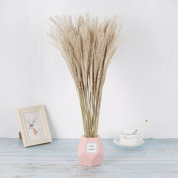 Natural Dried Pampas Grass 50Pcs Artificial Pampas Grass 23.6” Tall Reed