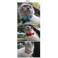 thumbnail image 3 of Zhuge Cats Collar with Buckle Adjustable Safety Soft Collars for Small Dogs or cats，velvet Blue, 3 of 4