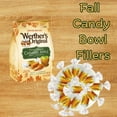 thumbnail image 7 of Werthers Original Caramel Apple Soft Caramels, Fall Candy Bowl Fillers, Pack of 2, 8.57 Ounces per Bag, 7 of 7