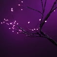 thumbnail image 5 of 72LED Firefly Tree Lights -DIY Artificial Bonsai Tree Lights,USB/Battery-Powered Touch Switch Fairy Lights Tree lamp with Multi Color for Christmas Party Decoration, 5 of 6