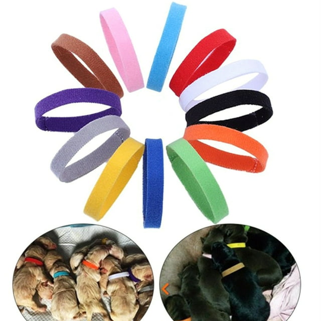 12PCS ID Collar Universal Reusable Pet Collar ID Band for Dog Cat Puppy Kitten